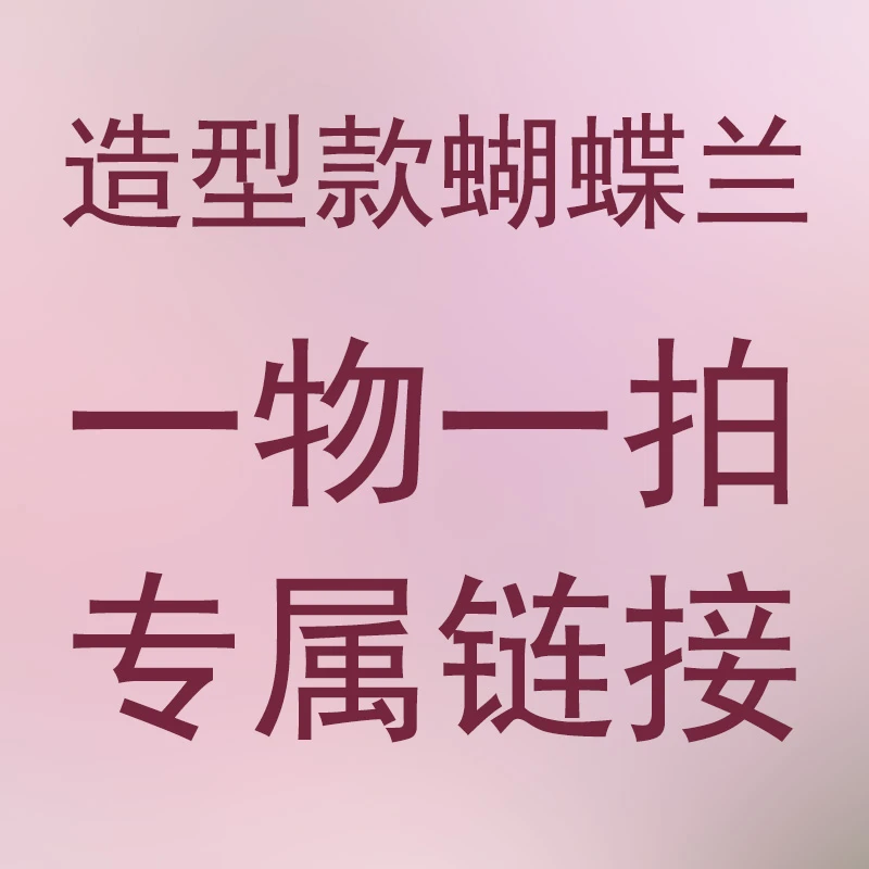 蝴蝶兰【一物一拍】室内客厅阳台花卉 好养易活  100-200