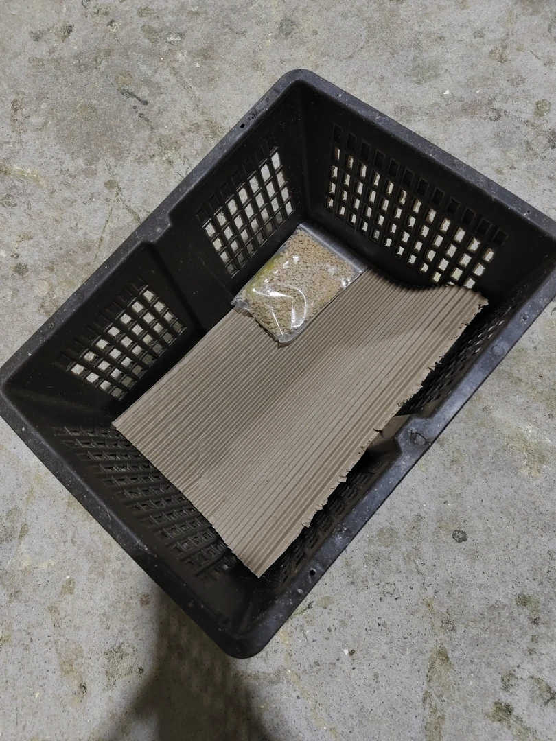 鹅苗周转框快递箱