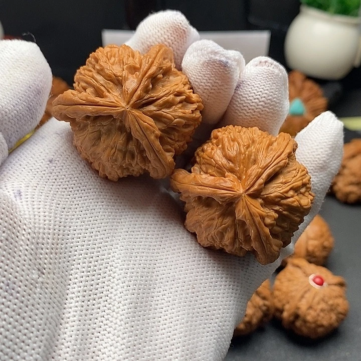 核桃39白狮子球奔
