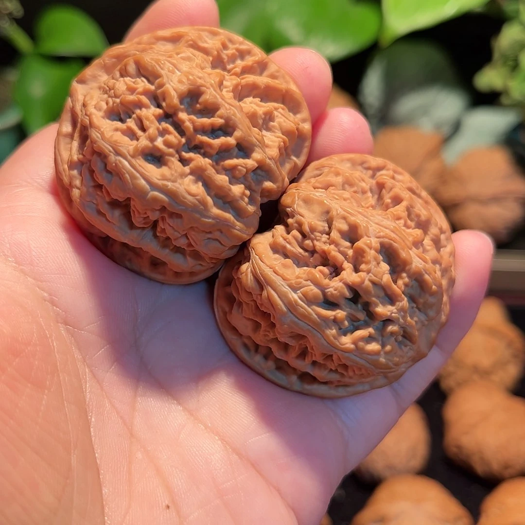 【闪购商品】文玩核桃把件45粗筋全品