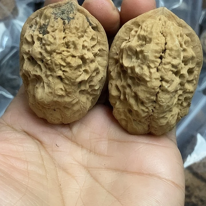 文玩核桃把件云南铁核桃基地7