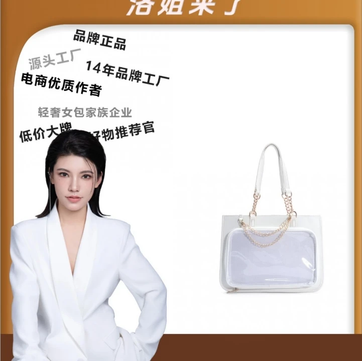 （粉丝专享）新款包包简约女士休闲手提斜跨包LL409