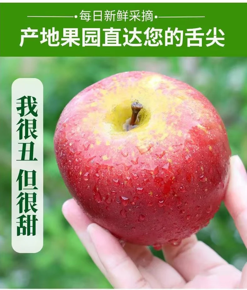 2025正宗云南昭通糖心丑苹果新鲜现摘脆甜多汁