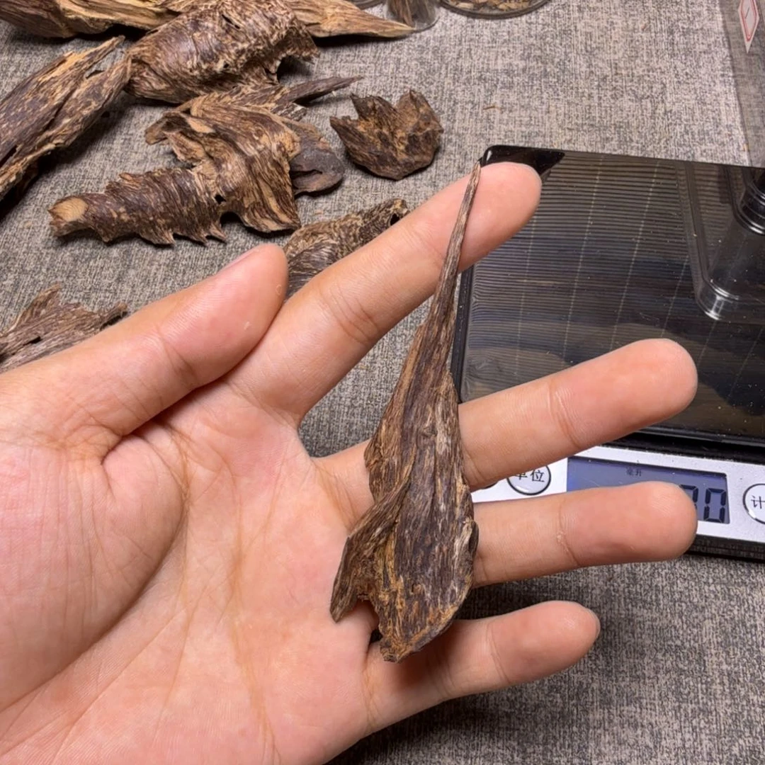香榧木扭结兰花结壳子5.2克