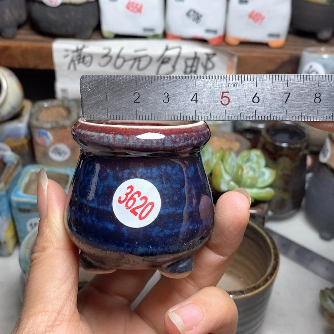 拍5送一个小礼物