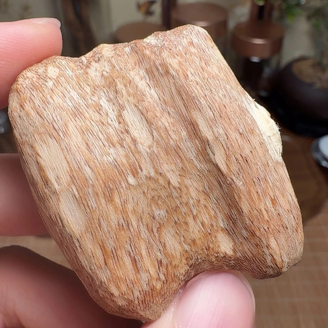 沉香广西博白瓜子