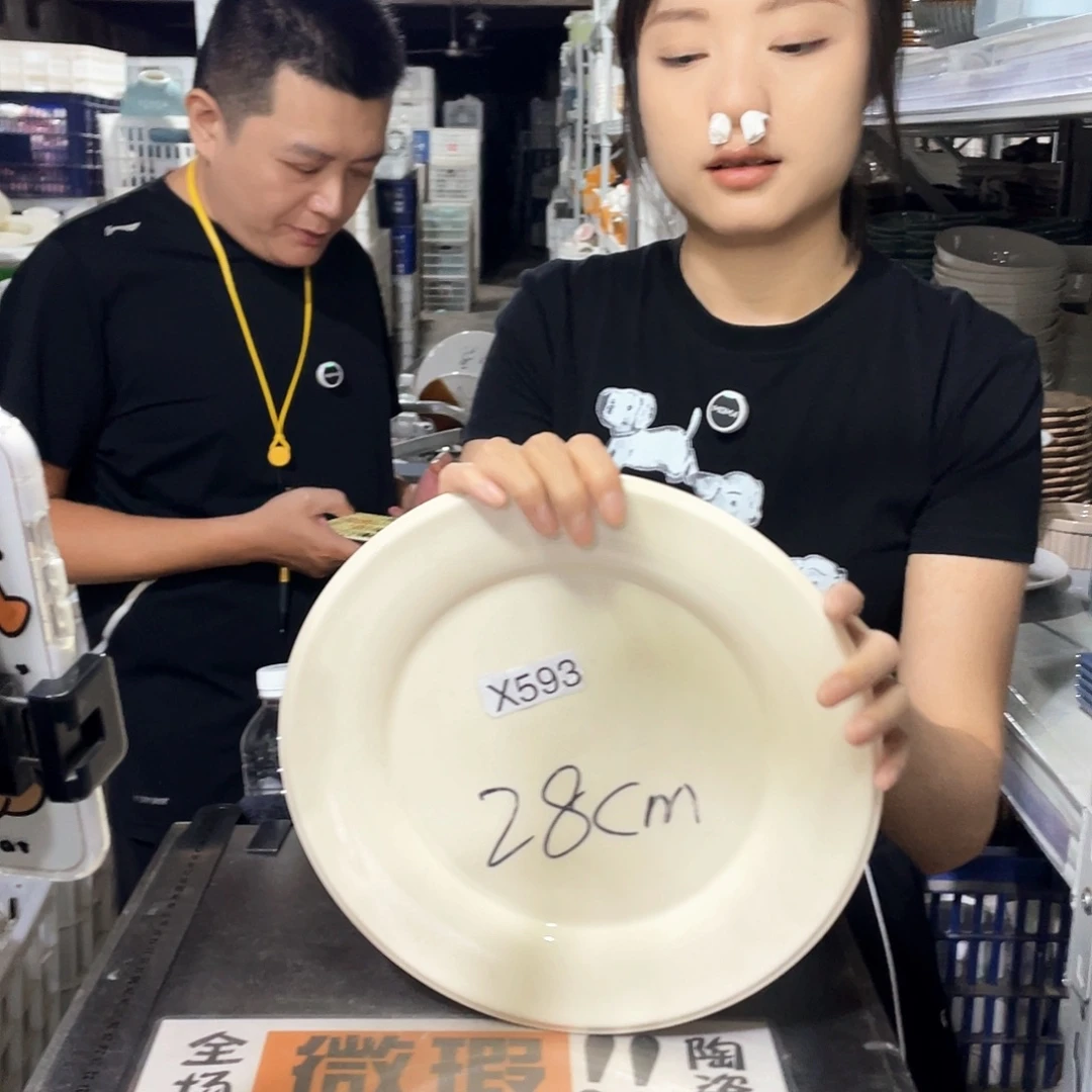 瓷片593             2个