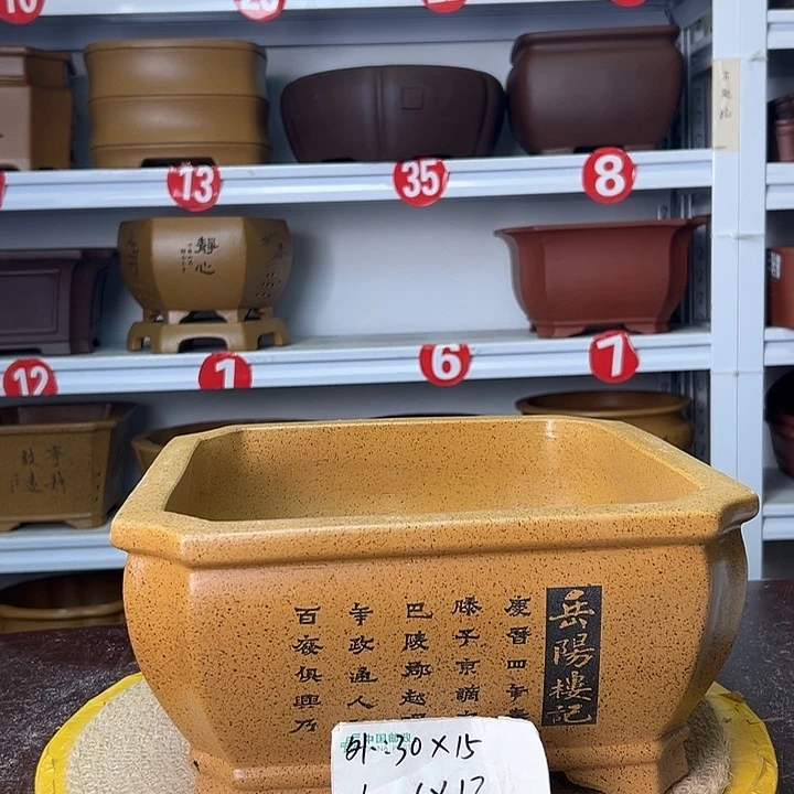 紫砂花盆你在一起