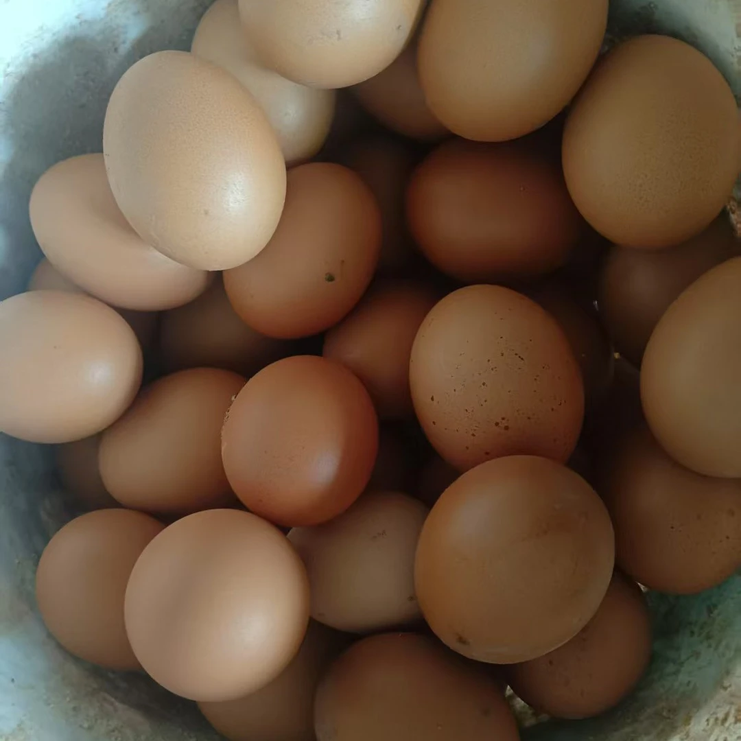 （50枚）山林散养土鸡蛋新鲜营养健康农家现捡现发