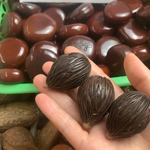 千眼菩提吊坠千丝菩提