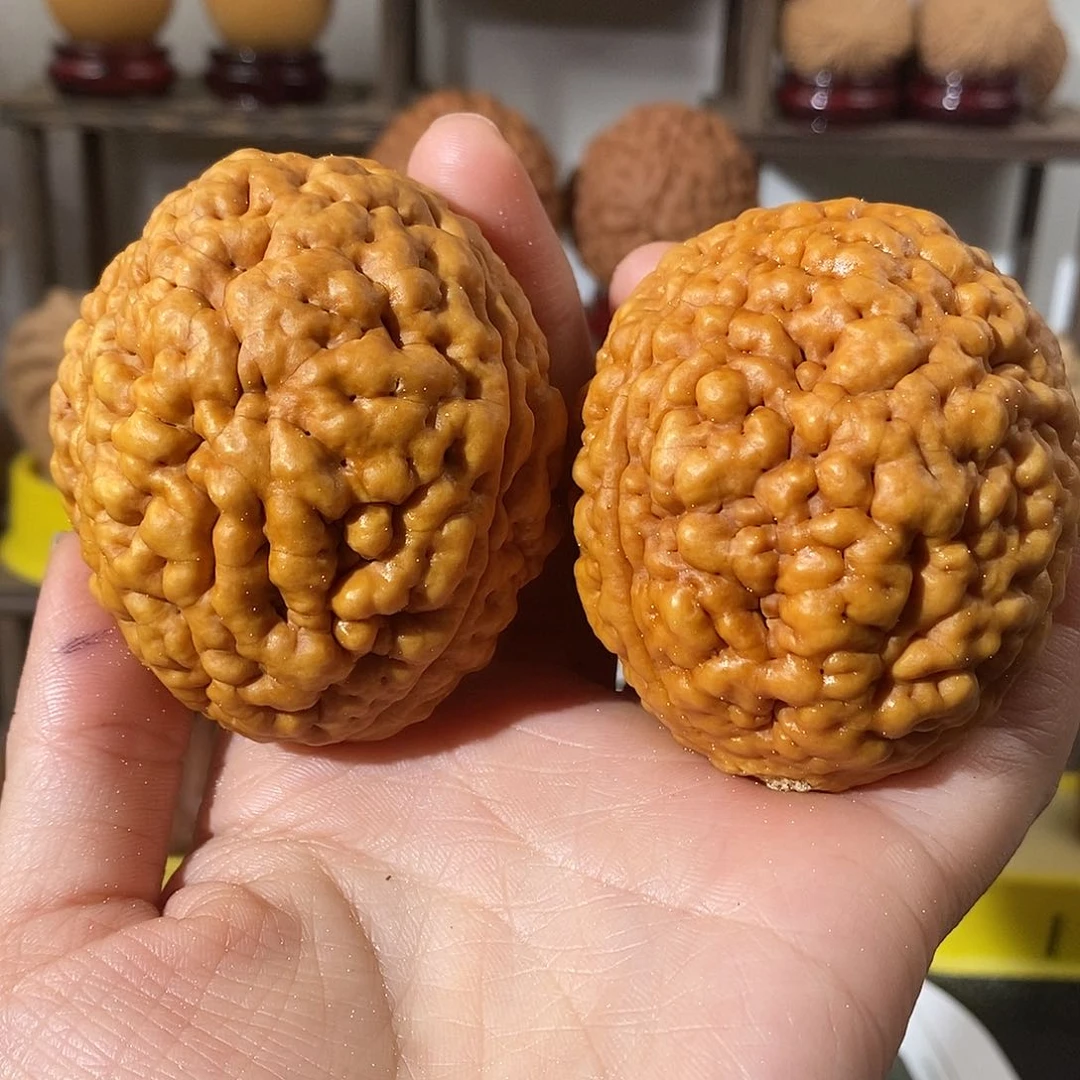 吊坠文玩核桃三瓣脑纹金刚爆肉5463