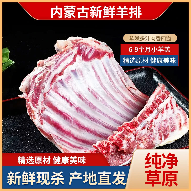 整扇羔羊排肋排不带皮清真食材适合清炖烧烤