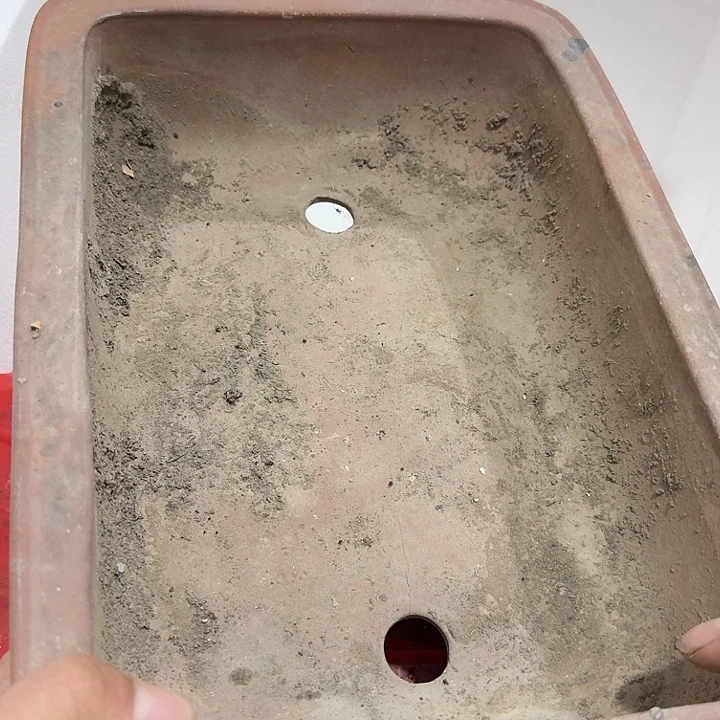 正***大扇子 给哥哥哥哥刚果共和国宝贝宝贝