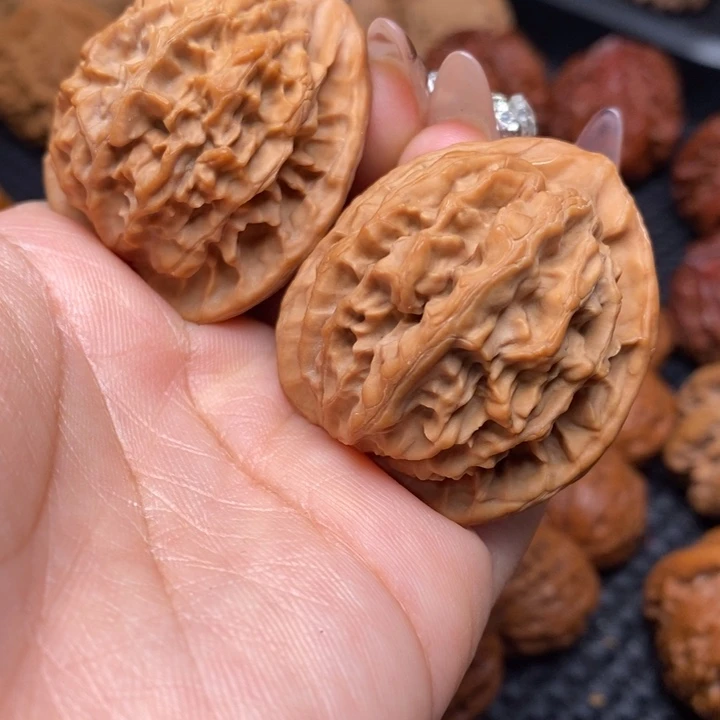 秦岭野生00000000057