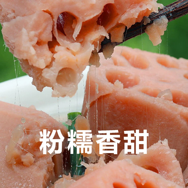 湖北粉藕新鲜莲藕现挖炖汤煲汤粉藕汉川莲藕红藕面藕桂花粉糯米藕