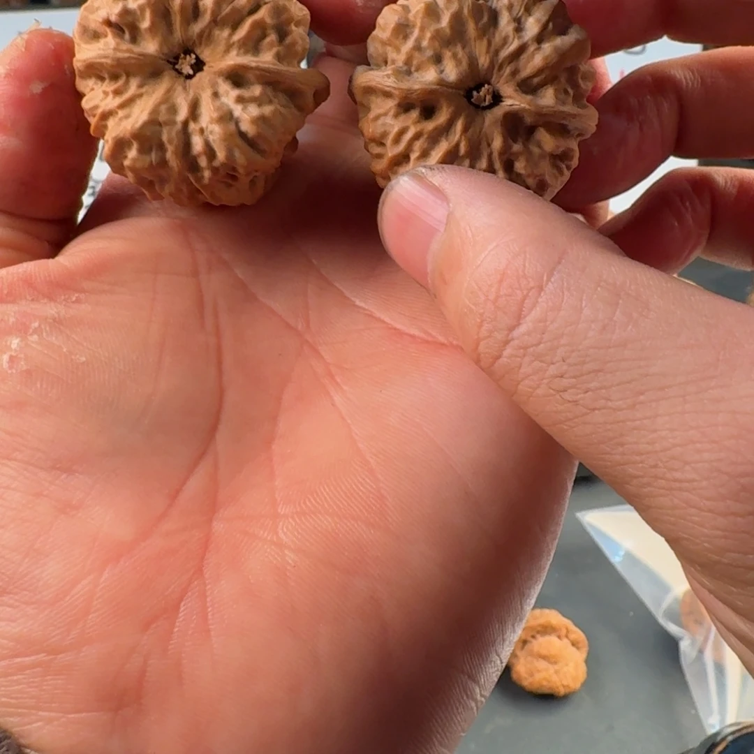 疯***子文玩核桃吊坠蛤蟆的眼睛是真的好看啊我的天啊我的眼睛是