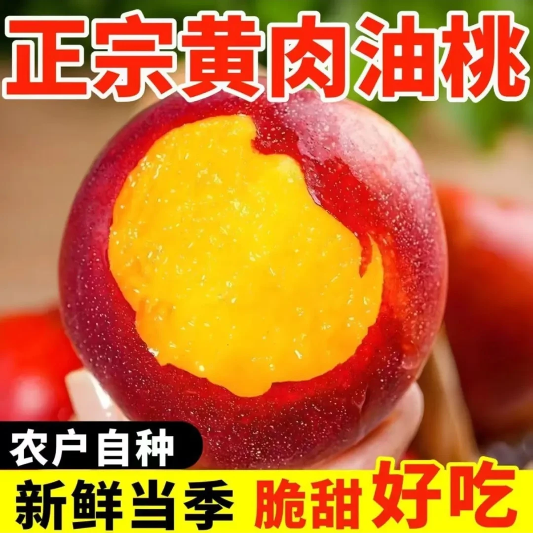 正宗黄心油桃夏季新鲜水果脆甜多汁产地直供