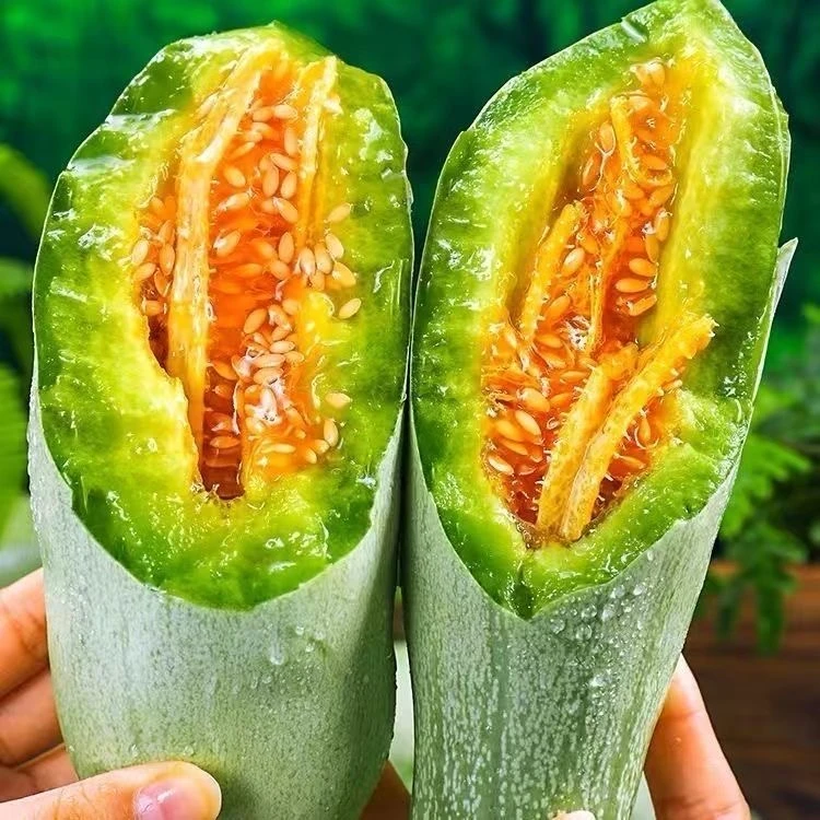 【山东蜜园18号甜瓜】酥脆甜  新鲜应季 整箱带箱5斤左右