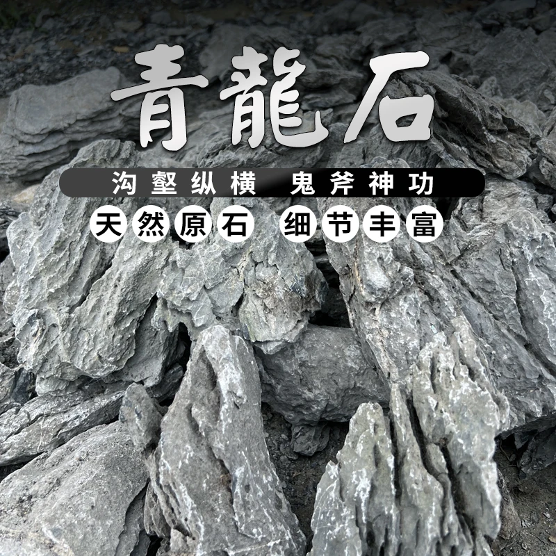 水陆缸造景装饰精洗青龙石水族草缸造景石雨林缸水陆缸天然盆景石