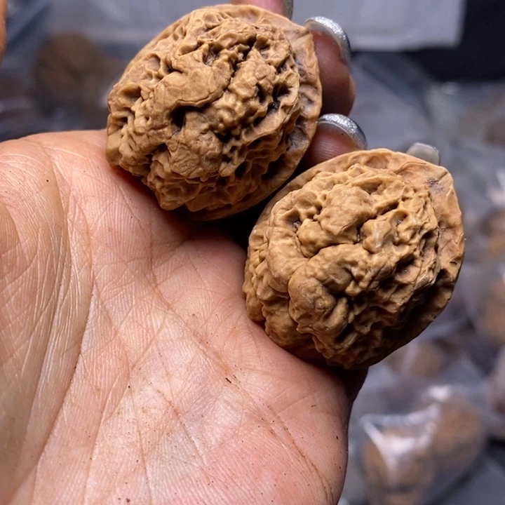 核桃云南野生铁核桃122号37mm