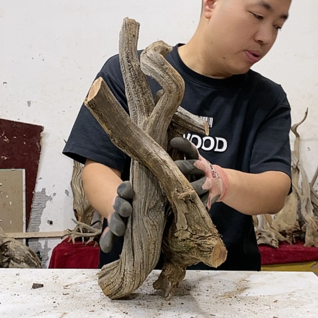 【闪购商品】柏木晨**扬我们都是好孩子