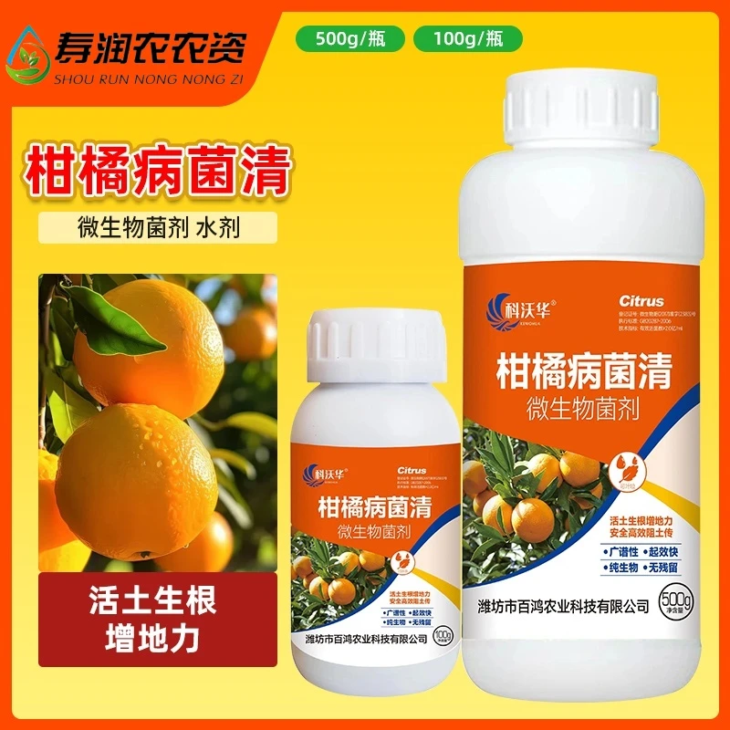 柑橘病菌清柑橘溃疡流胶黑斑炭疽疮痂病微生物菌剂