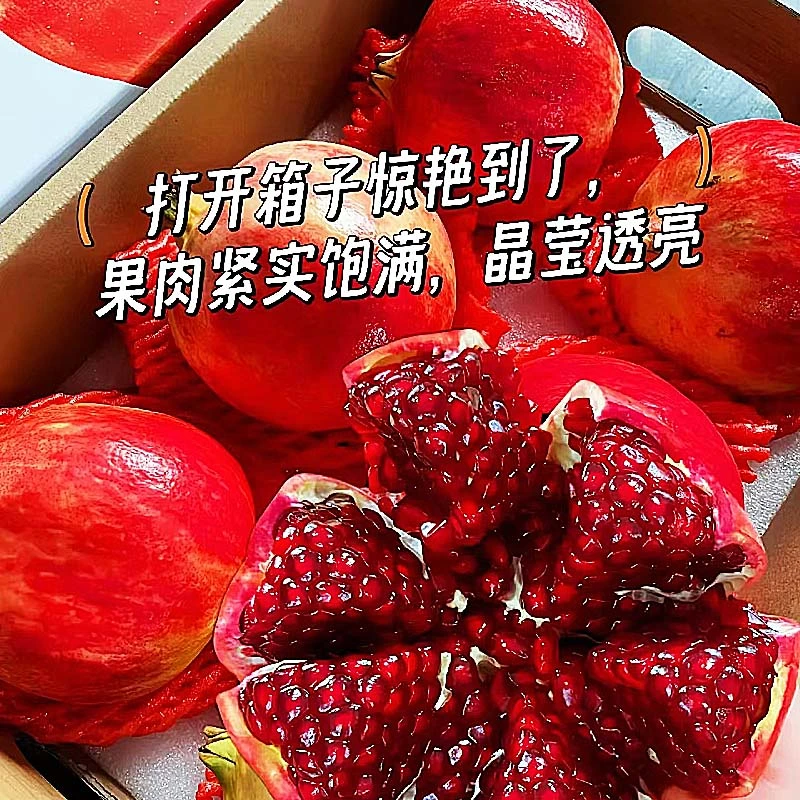 【中秋送礼】四川会理软籽石榴新鲜当季水果甜蜜多汁坏果包赔4.5斤
