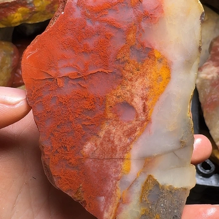 寿山石寿山石的种类