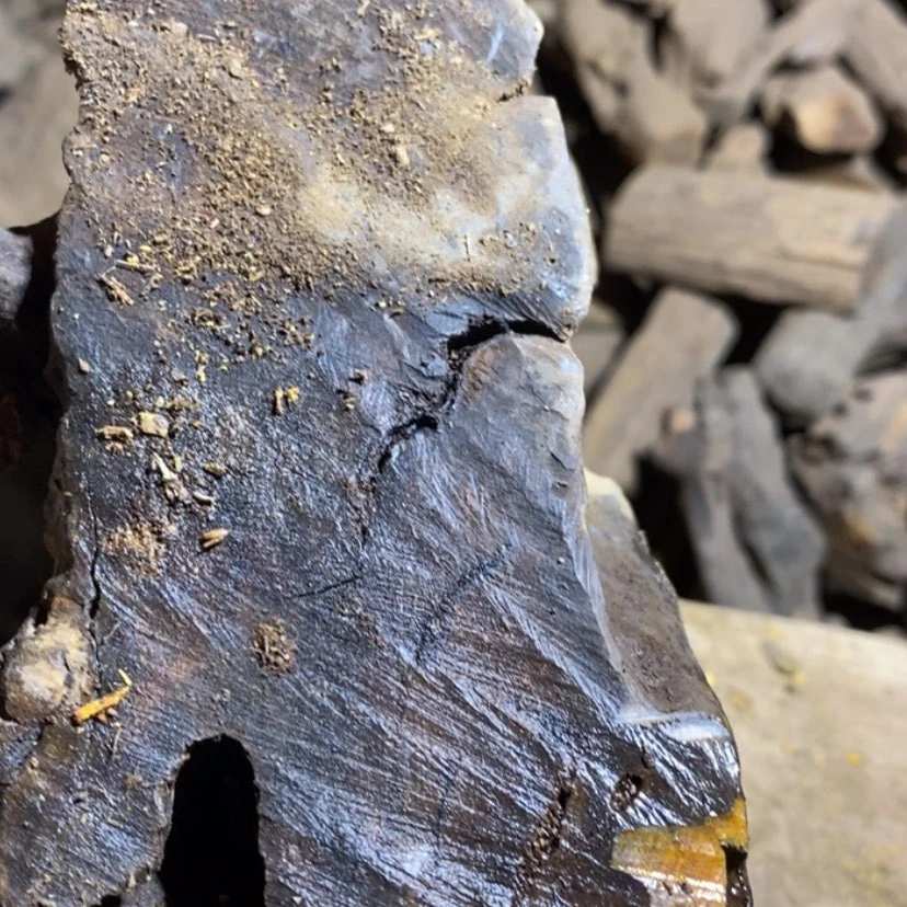 【闪购商品】把件贡木D****G私人订制