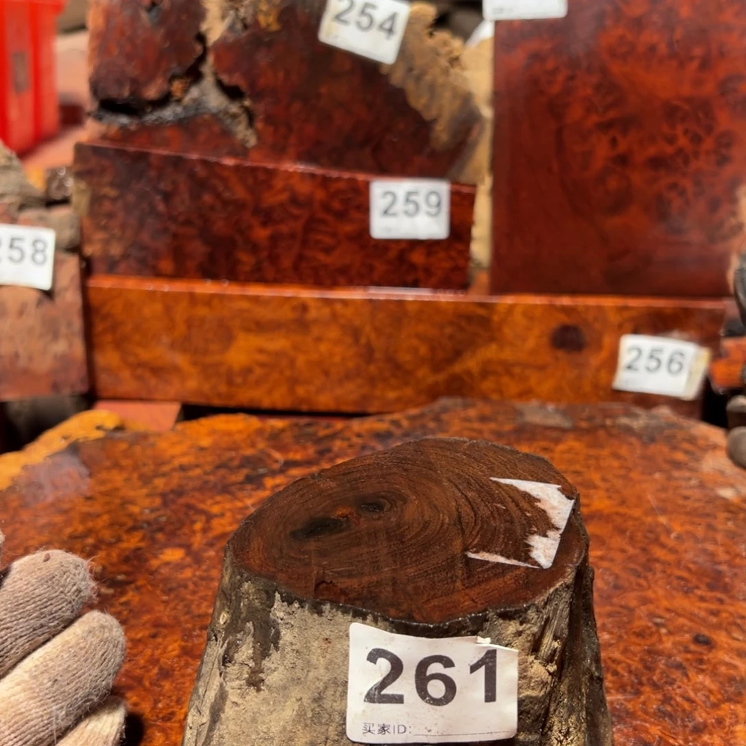 大果紫檀（缅甸花梨）