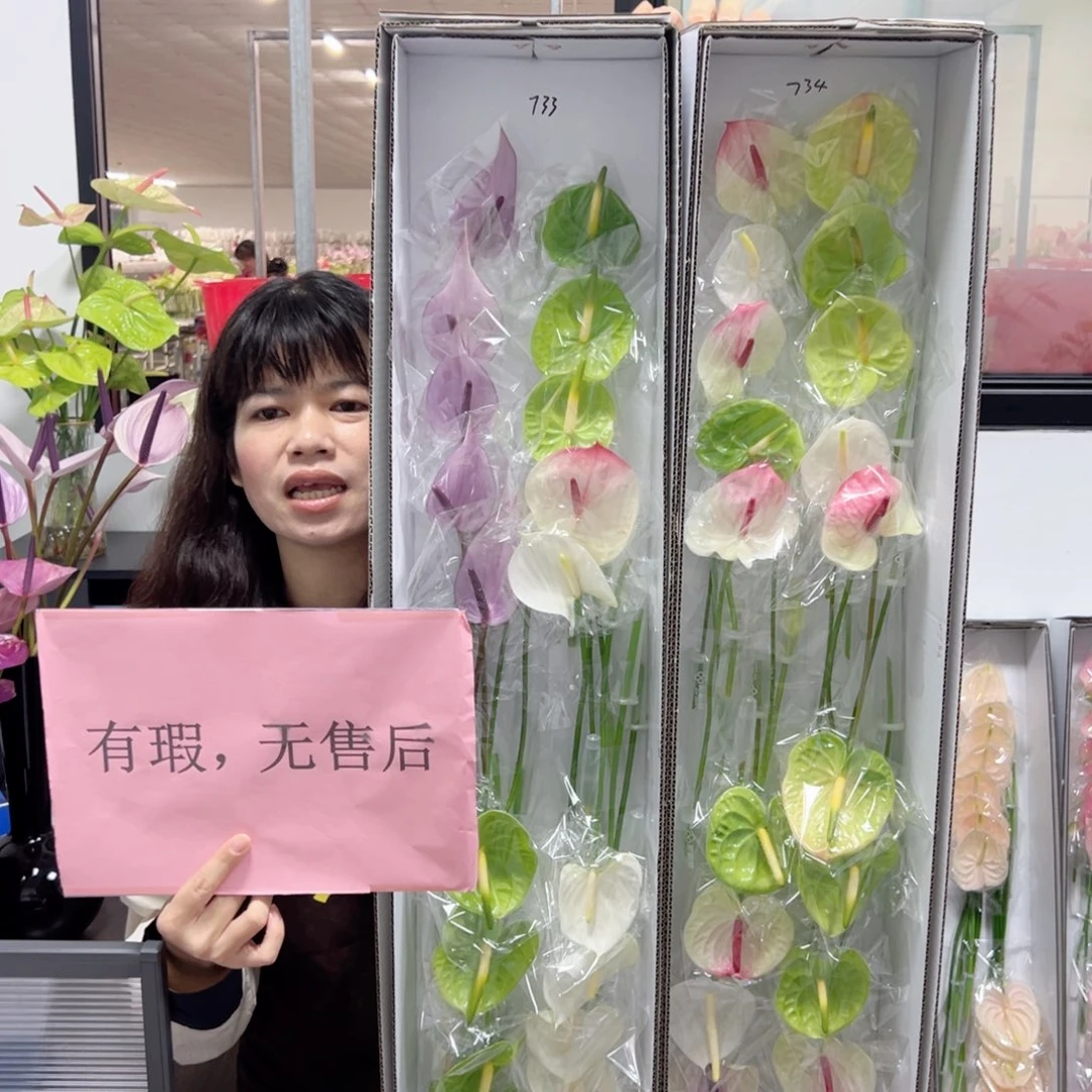 武***业完全开放混色-20枝装无售后款*2盒！！