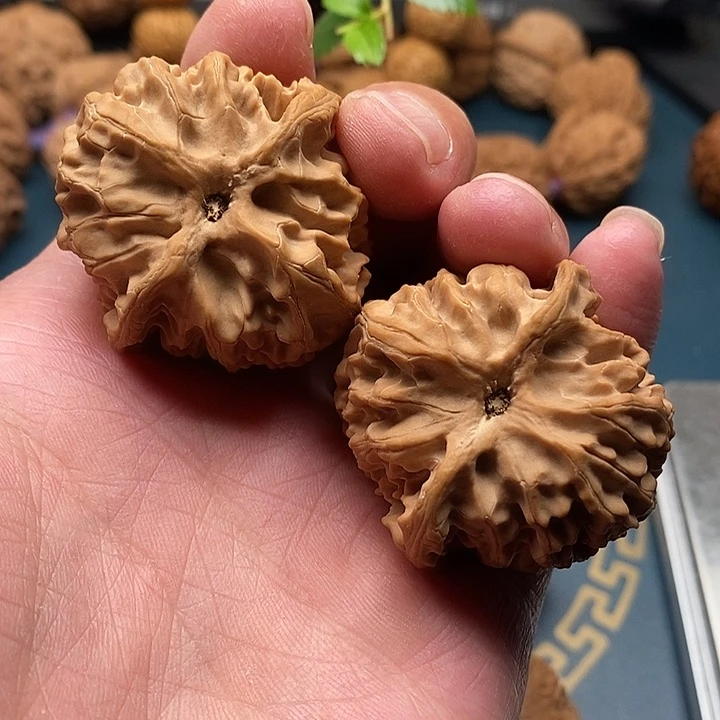 文玩核桃苹果园40全品