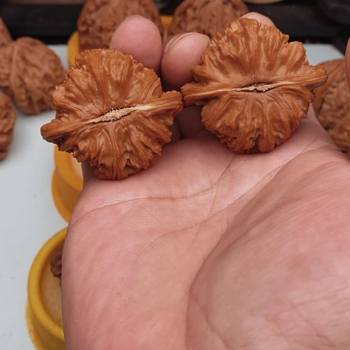 核桃迦**子你好吗我好想你啊