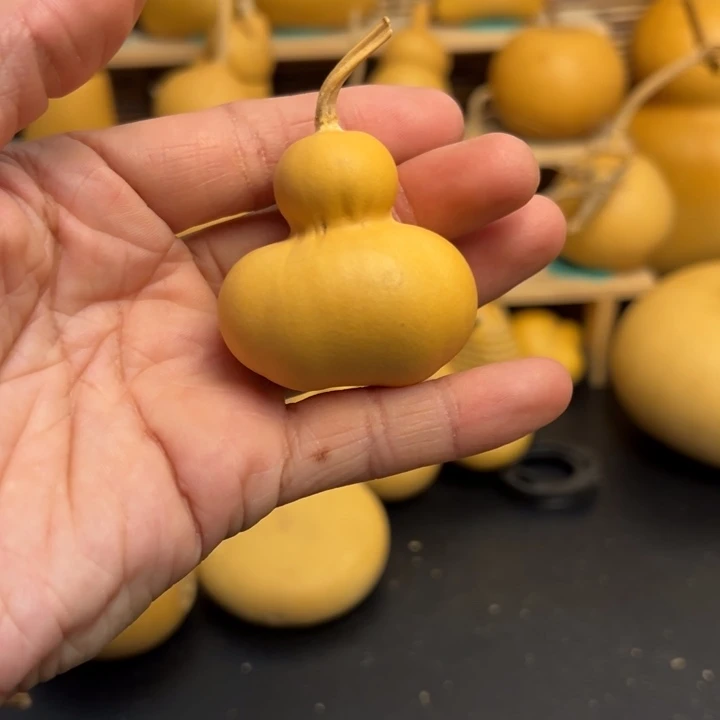 高*华葫芦葫芦葫芦葫芦葫芦葫芦