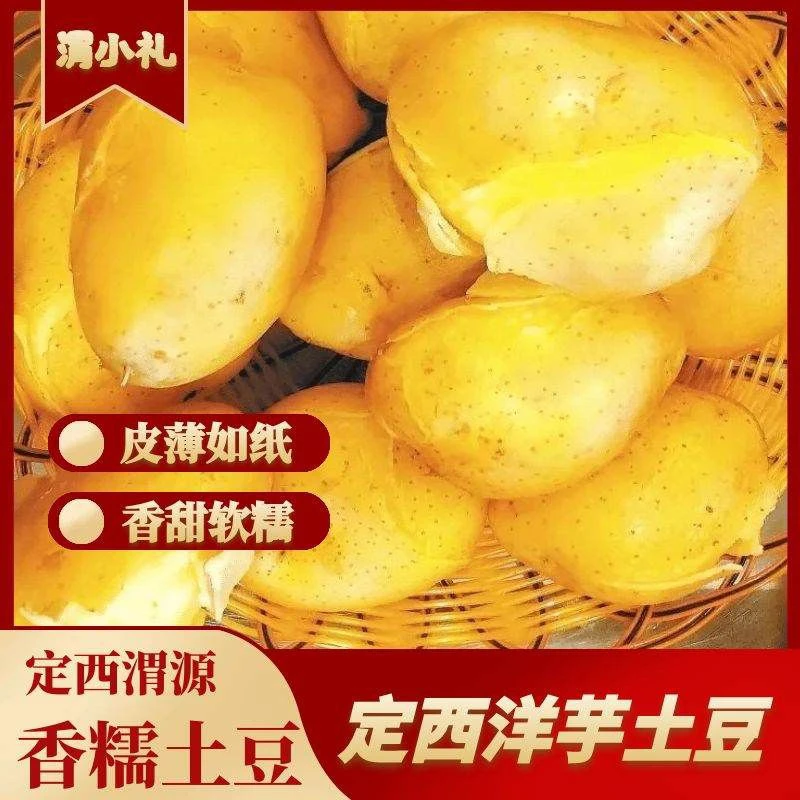 定西土豆定西洋芋定西马铃薯新鲜现挖黄心土豆粉糯营养美味