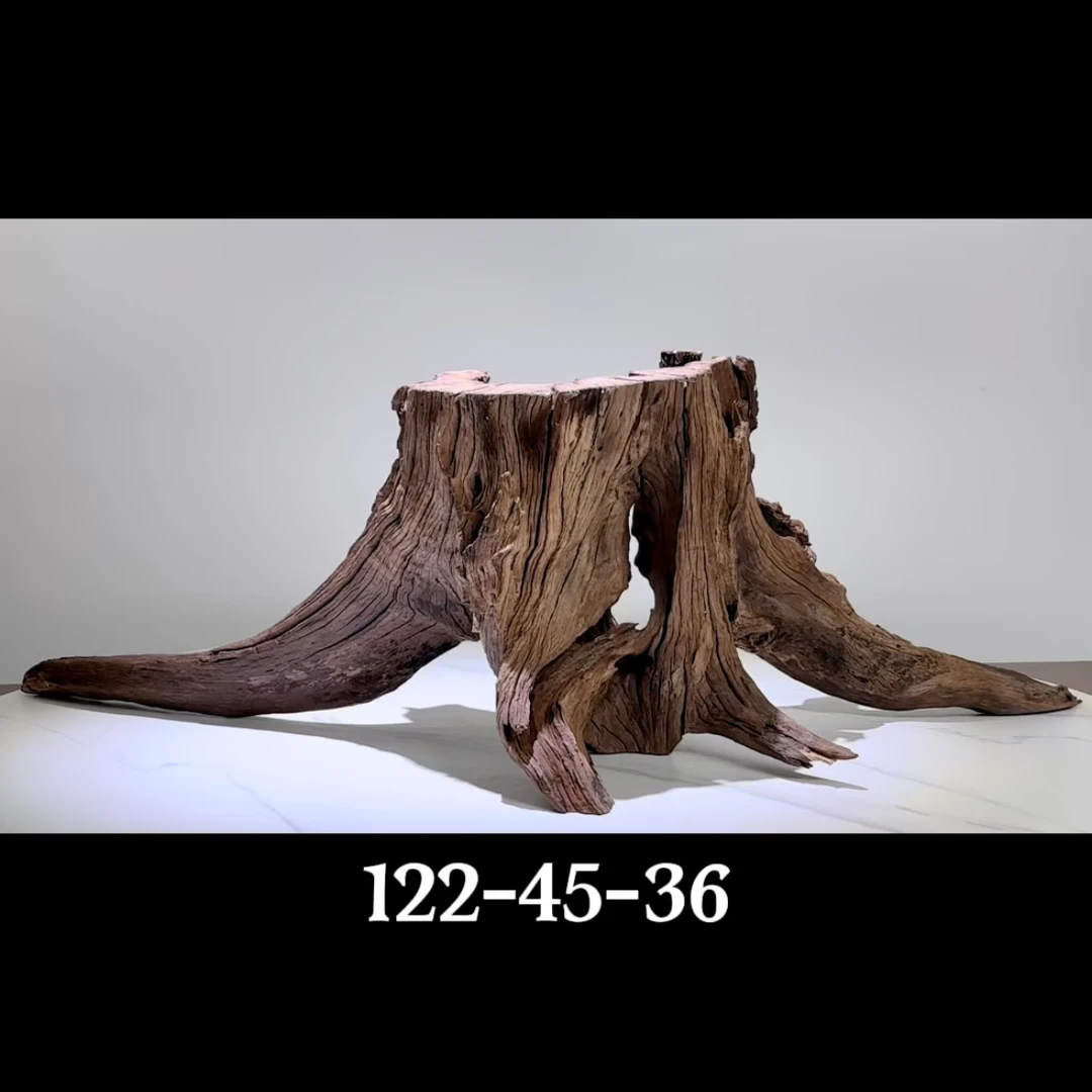 鱼缸造景沉木紫柚木树桩