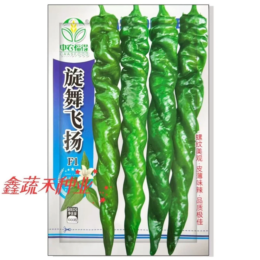 旋舞飞扬早熟螺丝椒种子耐低温高产抗病全螺旋型辣椒籽大田用种孑
