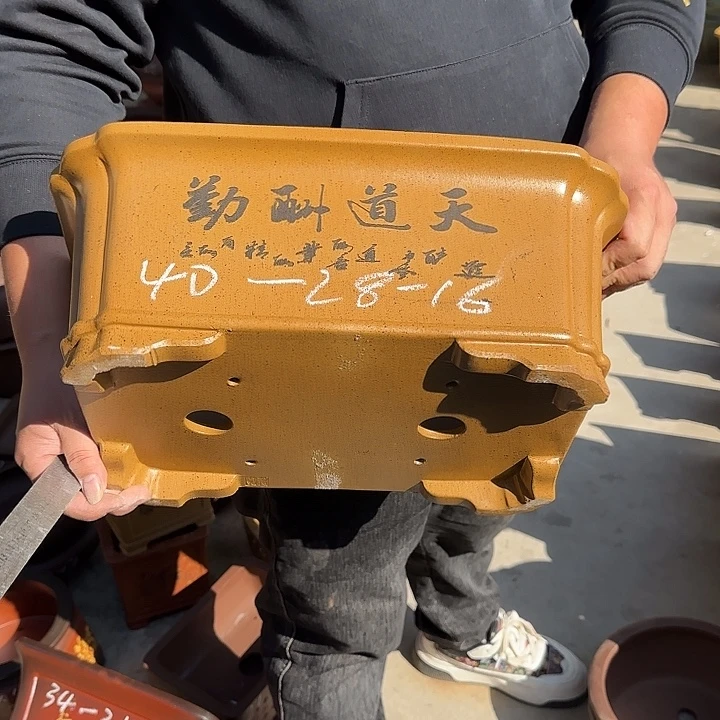 花盆紫砂这是什么