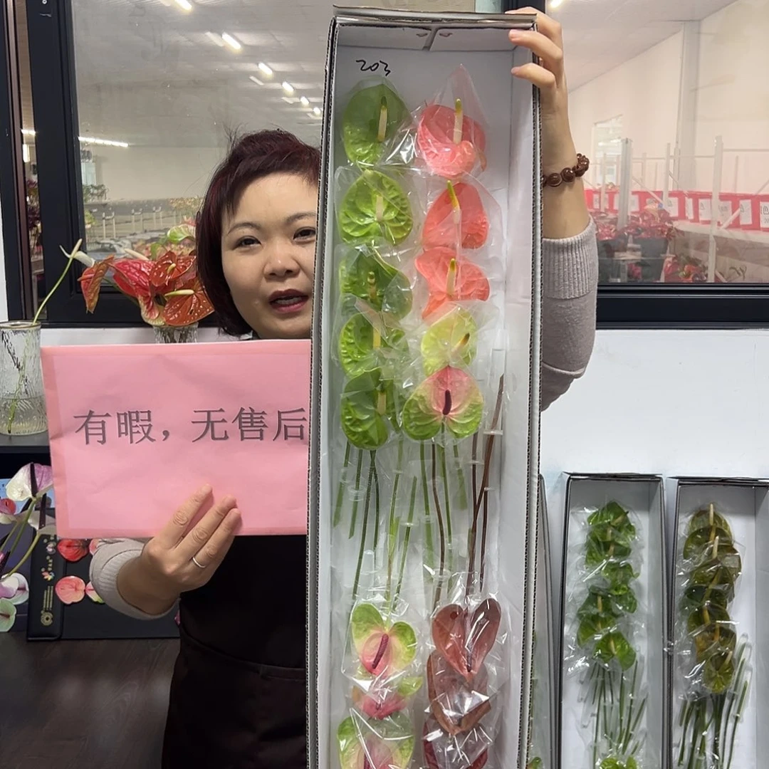 完全开放混色-20枝装无售后款203