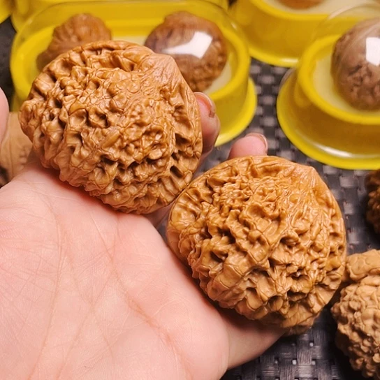 文玩核桃52尺龙鼎帽