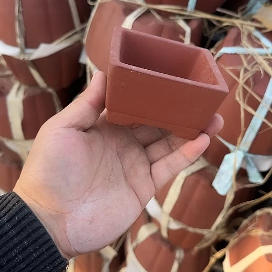 一哈来我这儿吃饭啊亲爱的媳妇啊媳妇们想