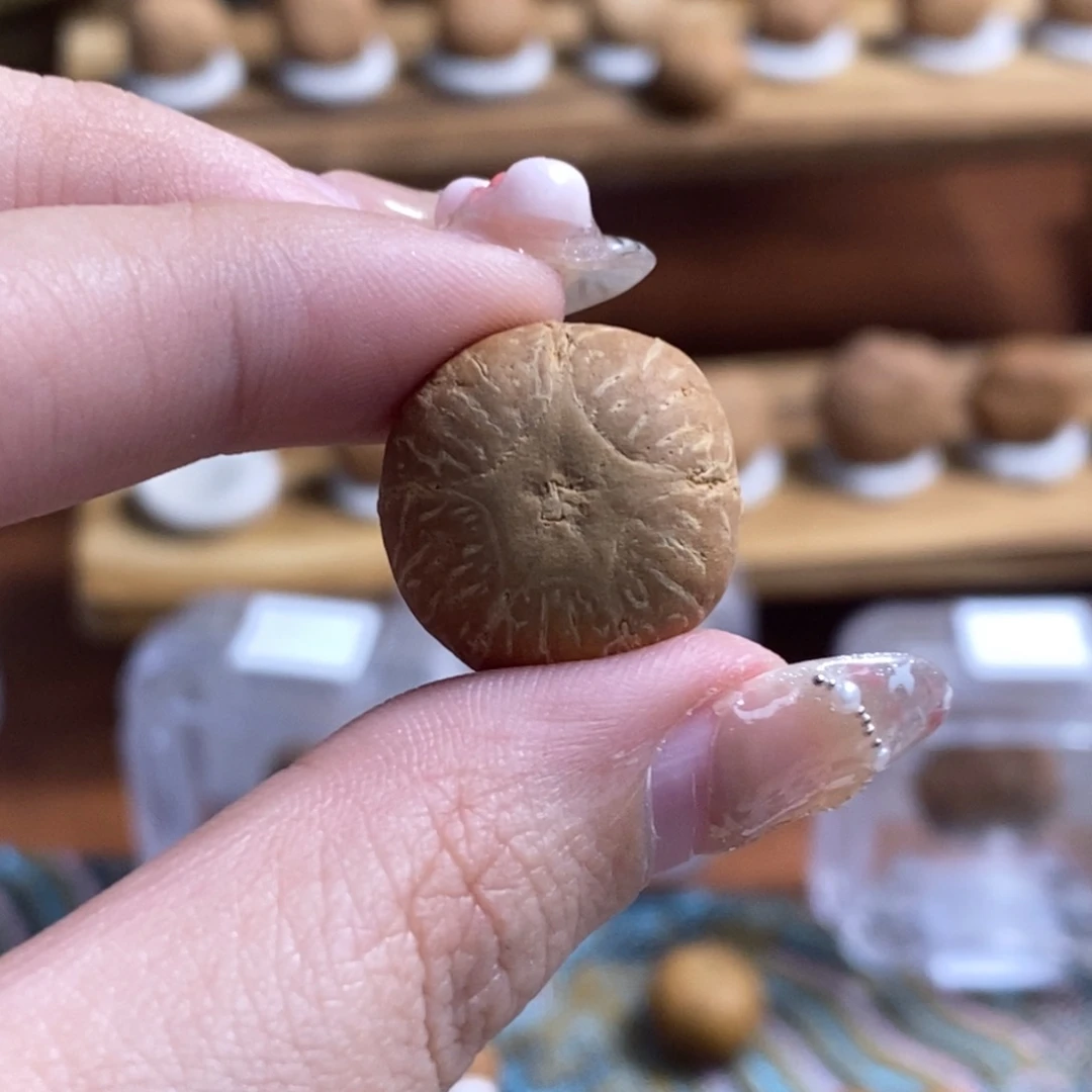 凤眼菩提吊坠五星