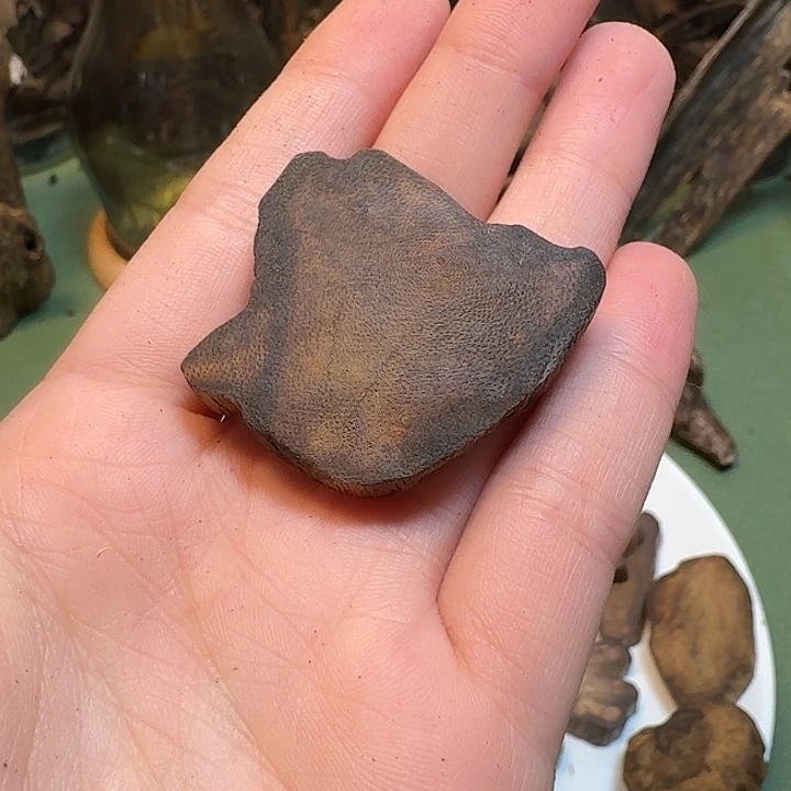 沉香沉香碎屑海南高端天然板头香老料