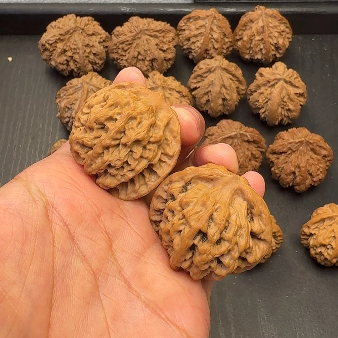 丁***爸核桃突突突突突突突突突突突