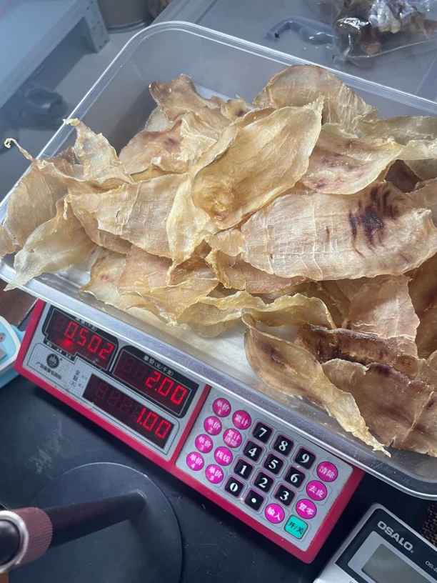 南澳本港土鳘赤嘴