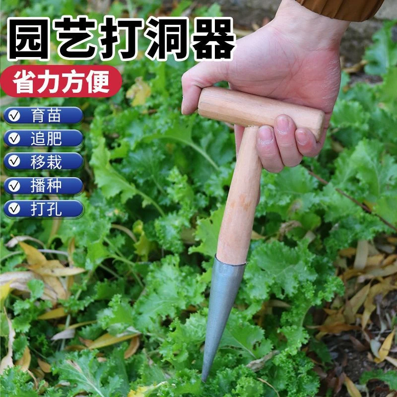 播种移苗追肥神器不锈钢木柄打洞器育苗播籽器花园多肉种苗打孔器
