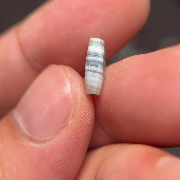 11111111111111111111