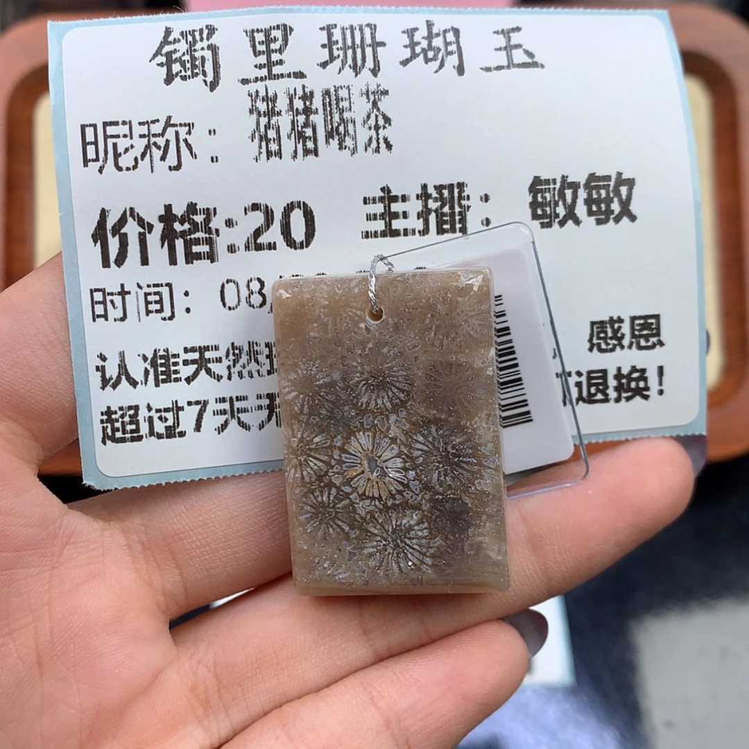 【闪购商品】颈饰未镶嵌硅化珊瑚（珊瑚玉）猪**茶