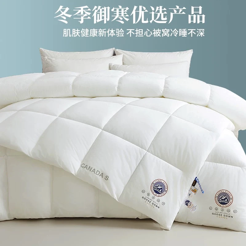 泰迪熊冰岛绒超柔羊绒蛋白太空被！分仓锁温加厚冬被