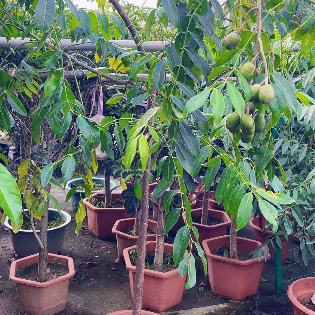 完全开放?****?111111111